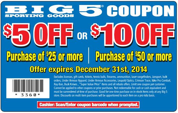 Big 5 Sporting Goods