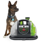 BISSELL Little Green Multi-Purpose Cleaner Sale
